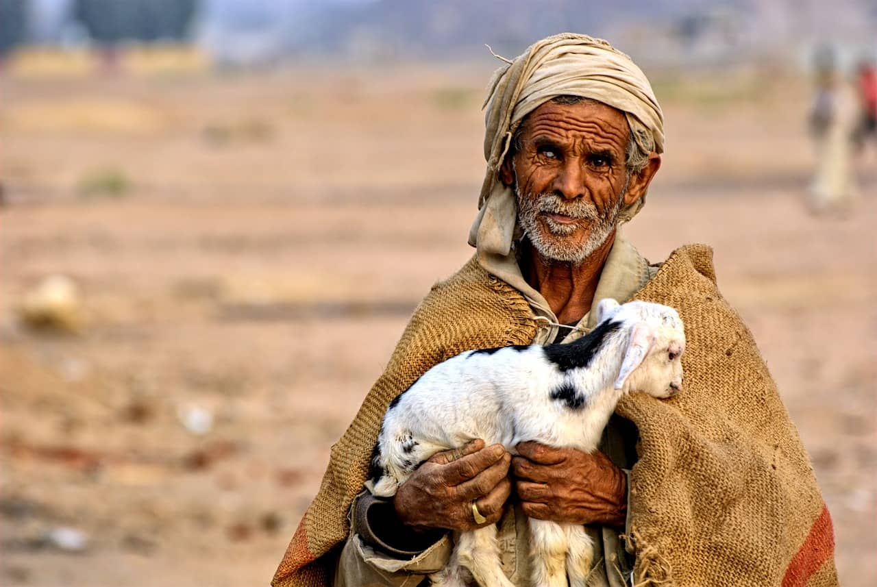 pastor egipcio
