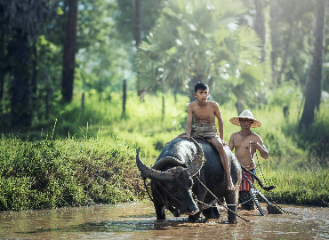 Laos rural