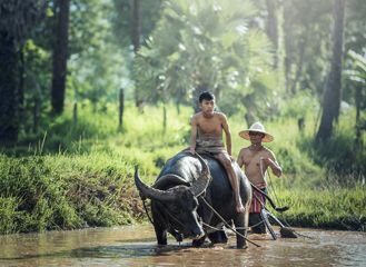 Laos rural