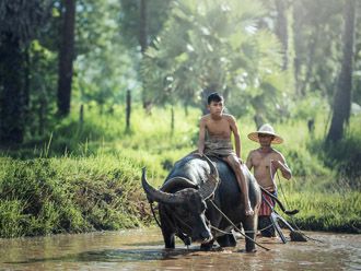 Laos rural