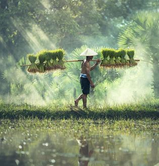 El mundo rural Tailandes